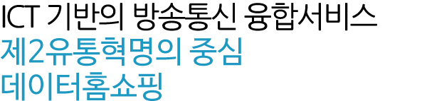 ICT 기반의 방송통신 융합서비스